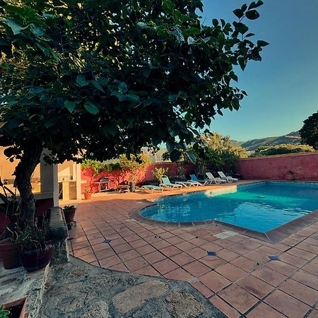 Residence Antonia Appartements Avec Piscine Commune - Centre Ville Calvi Calvi  Exterior photo