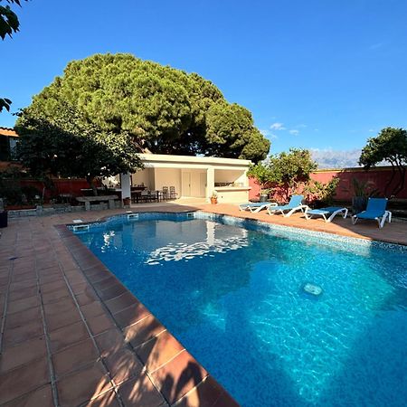 Residence Antonia Appartements Avec Piscine Commune - Centre Ville Calvi Calvi  Exterior photo