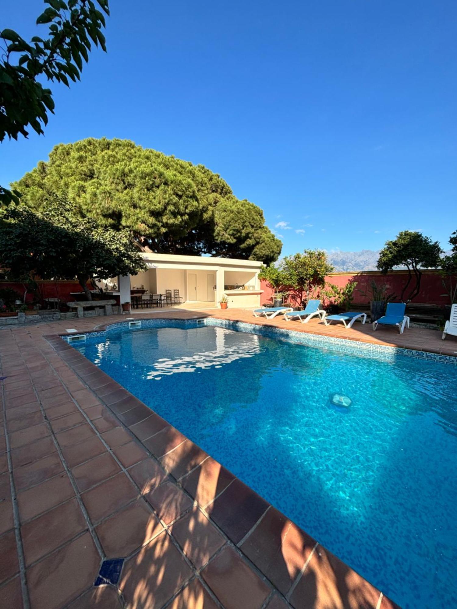 Residence Antonia Appartements Avec Piscine Commune - Centre Ville Calvi Calvi  Exterior photo