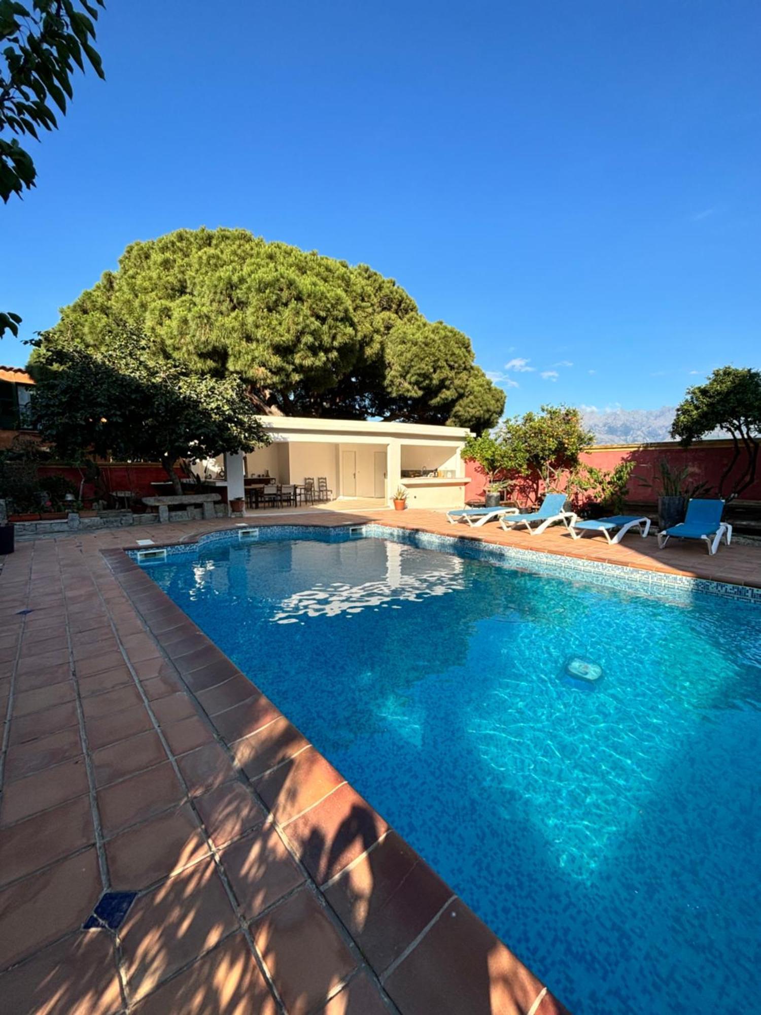 Residence Antonia Appartements Avec Piscine Commune - Centre Ville Calvi Calvi  Exterior photo